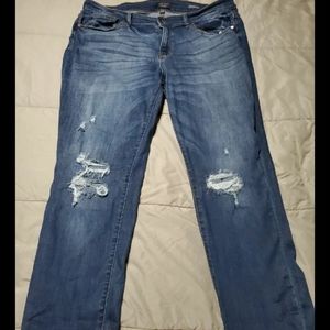 Judy Blue Boyfriend Fit 20W